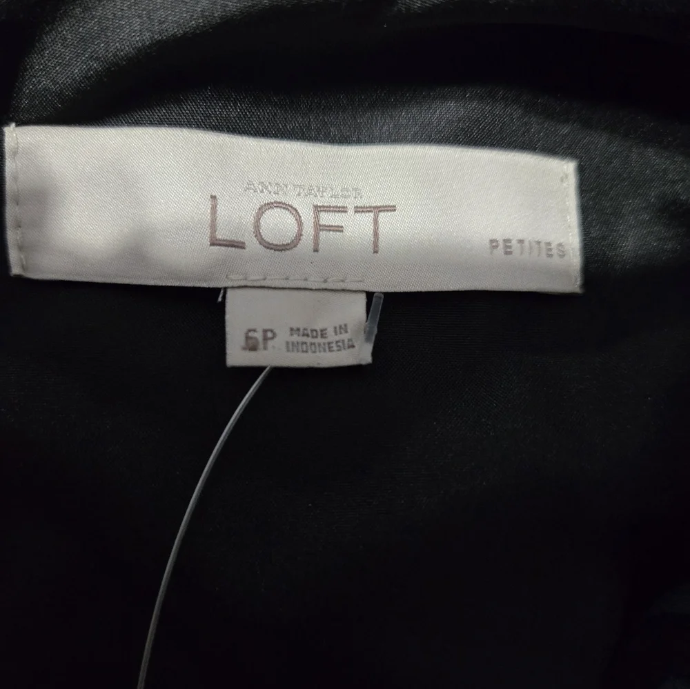 Loft Petite 6 Womens Dress